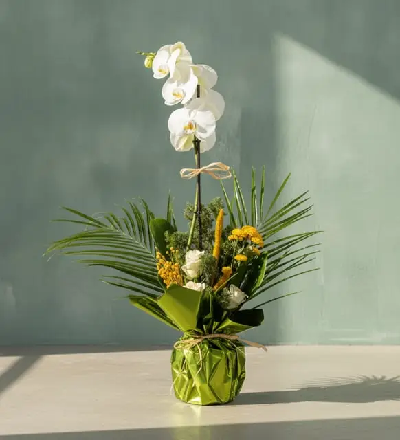 Yesil Buketli Saksida Beyaz Tekli Orkide,Fenix ve Beyaz Güller - Atakum Çiçekçim